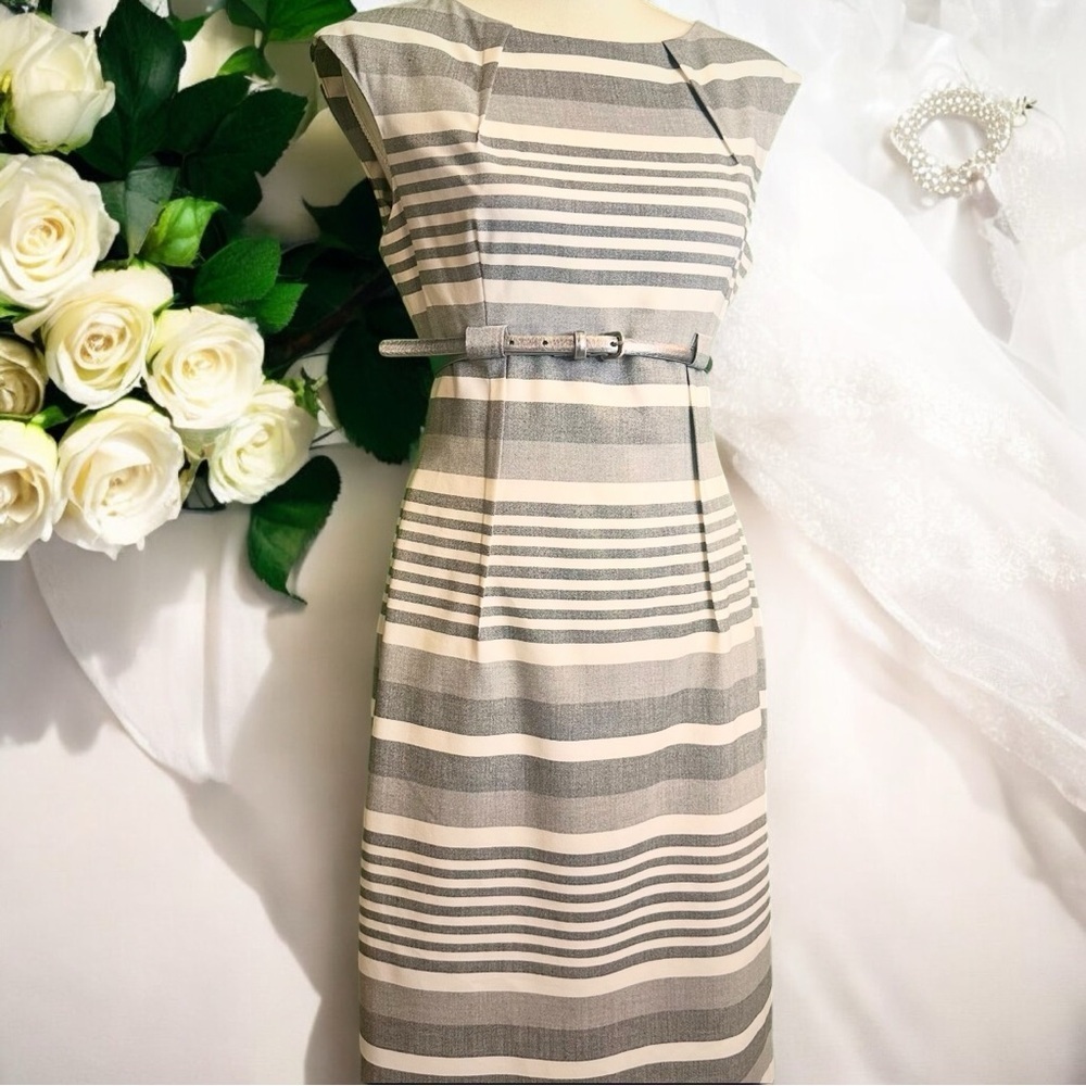 Calvin Klein Gray Striped Pintucked Sheath Dress With Silver Belt Size 6 - Picture 16 of 16
